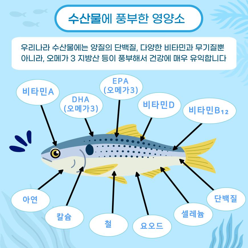 수산물로 건강하게, 활기찬 노년을! 사진3