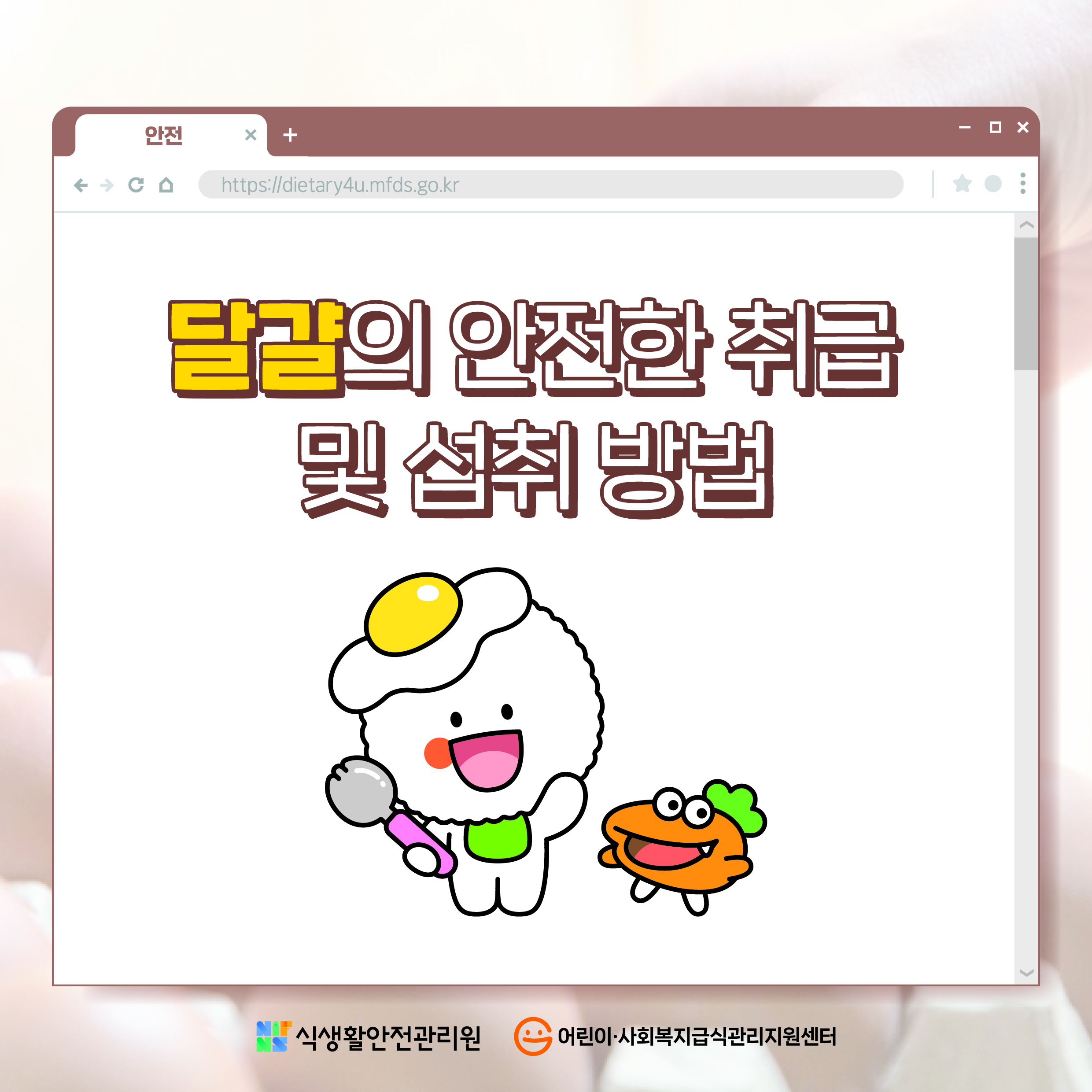 달걀의 안전한 취급 및 섭취방법