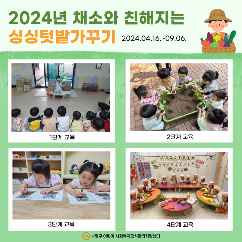 2024년 채소와 친해지는 싱싱텃밭가꾸기