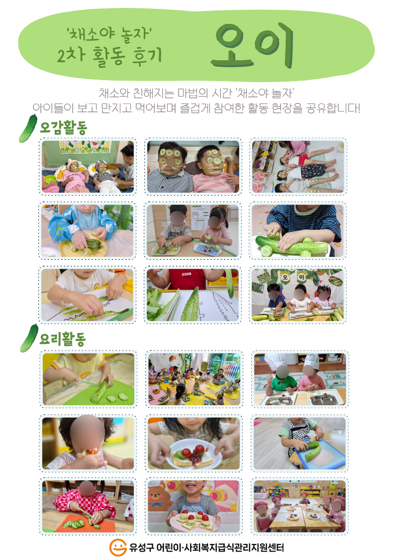2026년 채소야 놀자 2차 오이 활동후기 공유