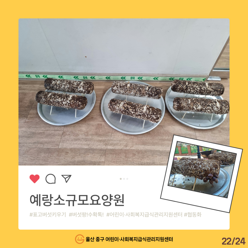 2026년 특화사업 [버섯 팡! 수확 톡!] 온라인 전시회_표고와 함께한 시간(예랑소규모요양원)