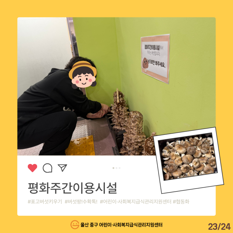 2026년 특화사업 [버섯 팡! 수확 톡!] 온라인 전시회_표고와 함께한 시간(평화주간이용시설)