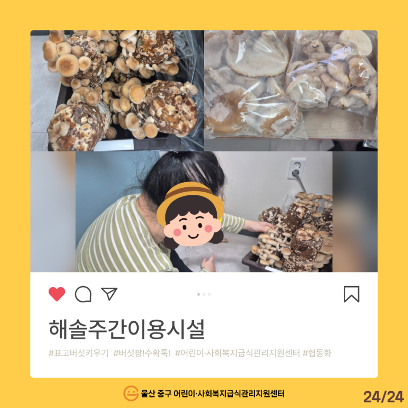 2026년 특화사업 [버섯 팡! 수확 톡!] 온라인 전시회_표고와 함께한 시간(해솔주간이용시설)