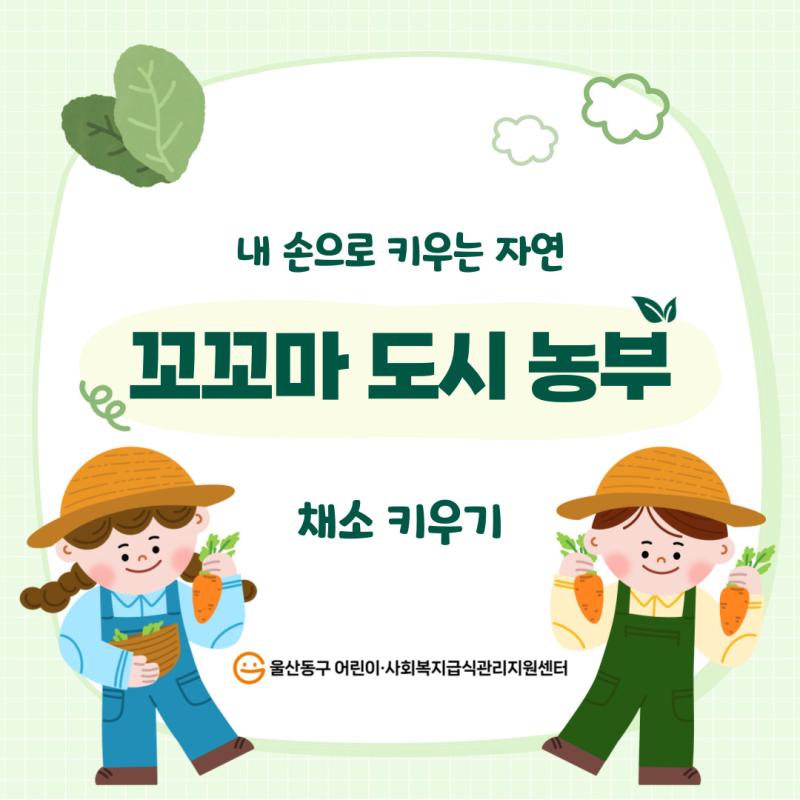2025년 꼬꼬마도시농부_채소키우기
