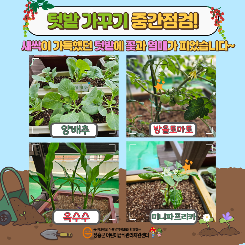 🌱텃밭 가꾸기 중간점검🌱