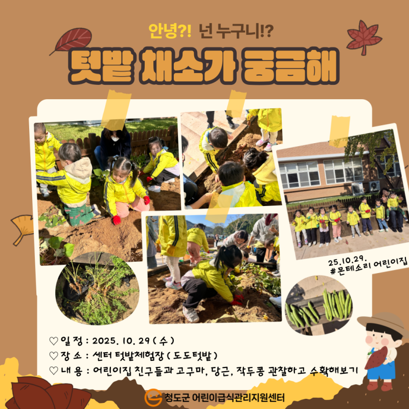 2025년 텃밭 작물 캐기 활동