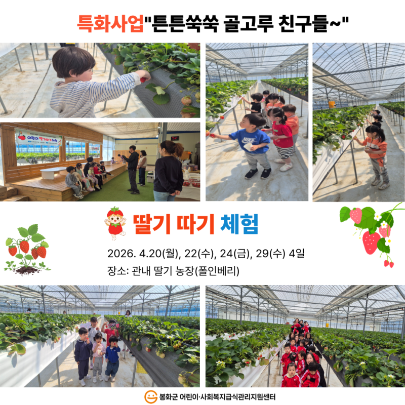 2026년 특화사업"튼튼쑥쑥 골고루 친구들" 딸기 따기 체험